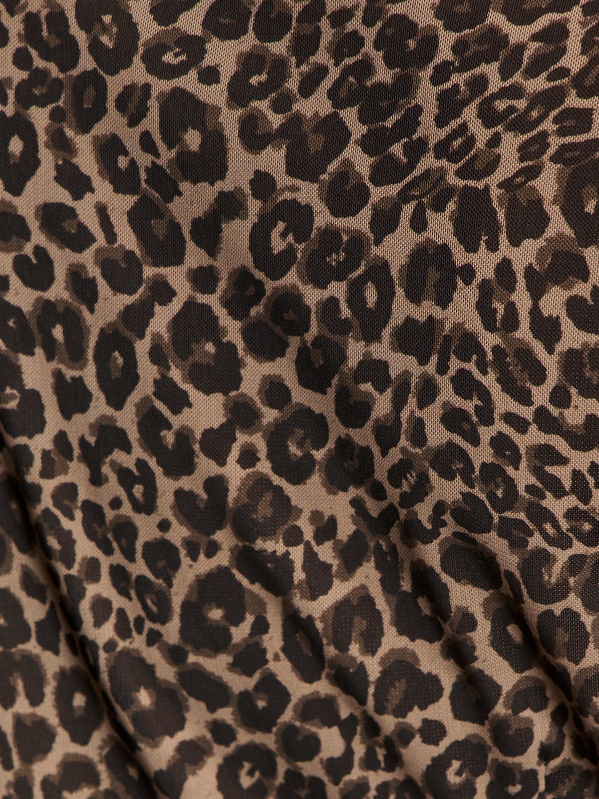 Dreamer's Top French Kitty